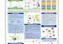 design conference posters and presentations in powerpoint